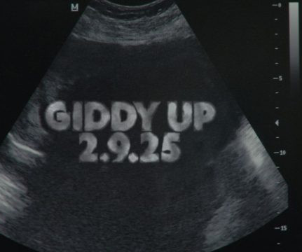 article thumbnail